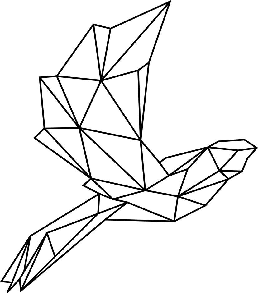 Northern Hawk Technologies Logo